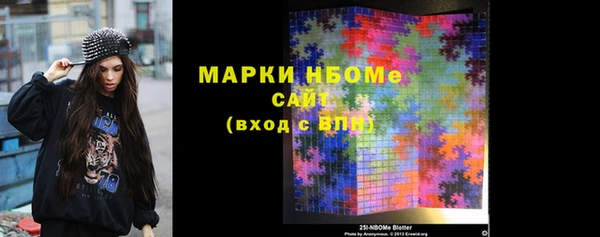 индика Гусиноозёрск
