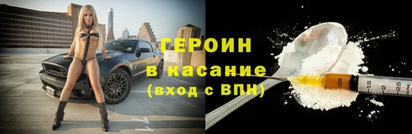 индика Гусиноозёрск
