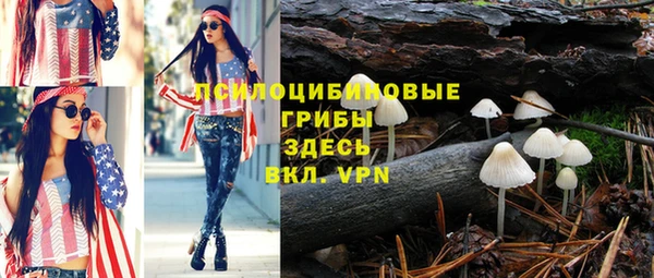 трава Горнозаводск