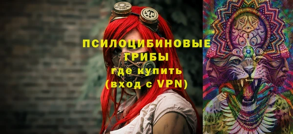 экстази Горняк