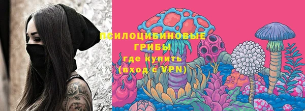 экстази Горняк