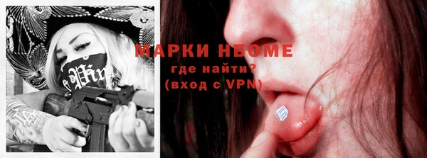 индика Гусиноозёрск