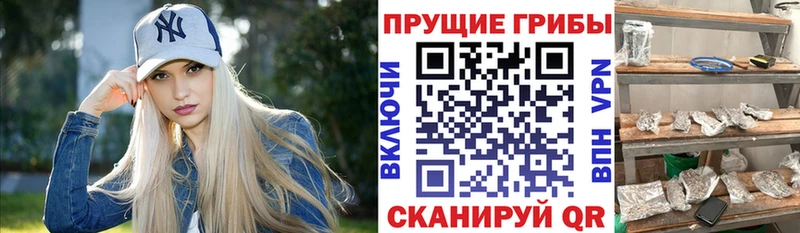 Псилоцибиновые грибы мухоморы  Жердевка 